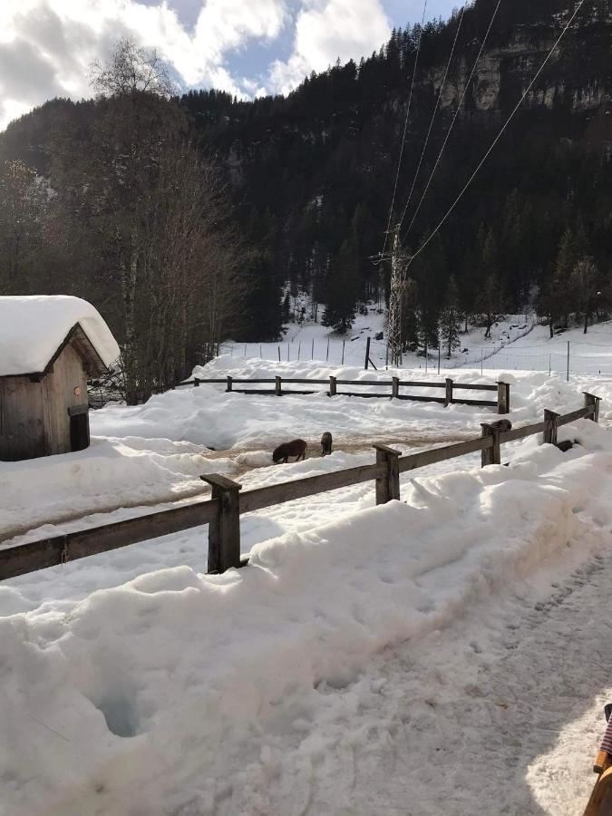 Pension Nachtviole Hüttau Exterior foto